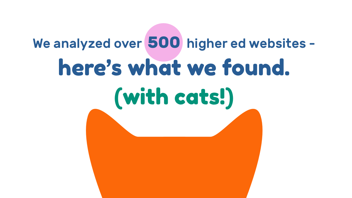 We analyzed over 500 higher ed websites - here’s what we found (with cats!)